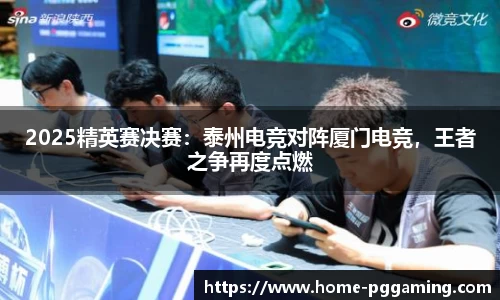 2025精英赛决赛:泰州电竞对阵厦门电竞,王者之争再度点燃